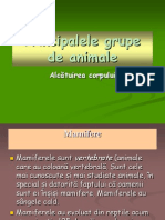 0_prezentare_grupele_de_animale.ppt