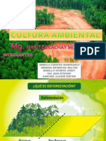 Cultura Ambiental