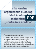 1.funkcionalna Organizacija Ljudskog Tela I Kontrolni Mehanizmi