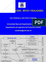 F1 Holstein - Cebu Mitos y Realidades - III