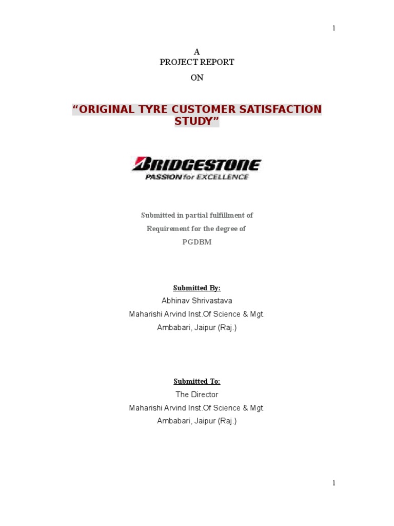 Tyre Customer Satisfaction Study | PDF | Business