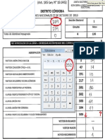 Fraude Elect 2013 Cba