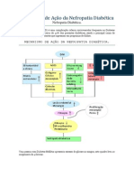 Mecanismo de Ação da Nefropatia Diabética