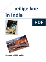Presentatie Heilige Koe in India.