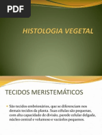 Morfofisiologia Vegetal