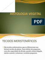 Morfofisiologia Vegetal