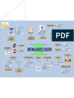 Sintomas Ap Digestivo