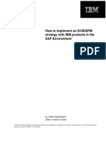 How To Implement An ECM - BPM Strategy With IBM Products in The SAP Environment PDF
