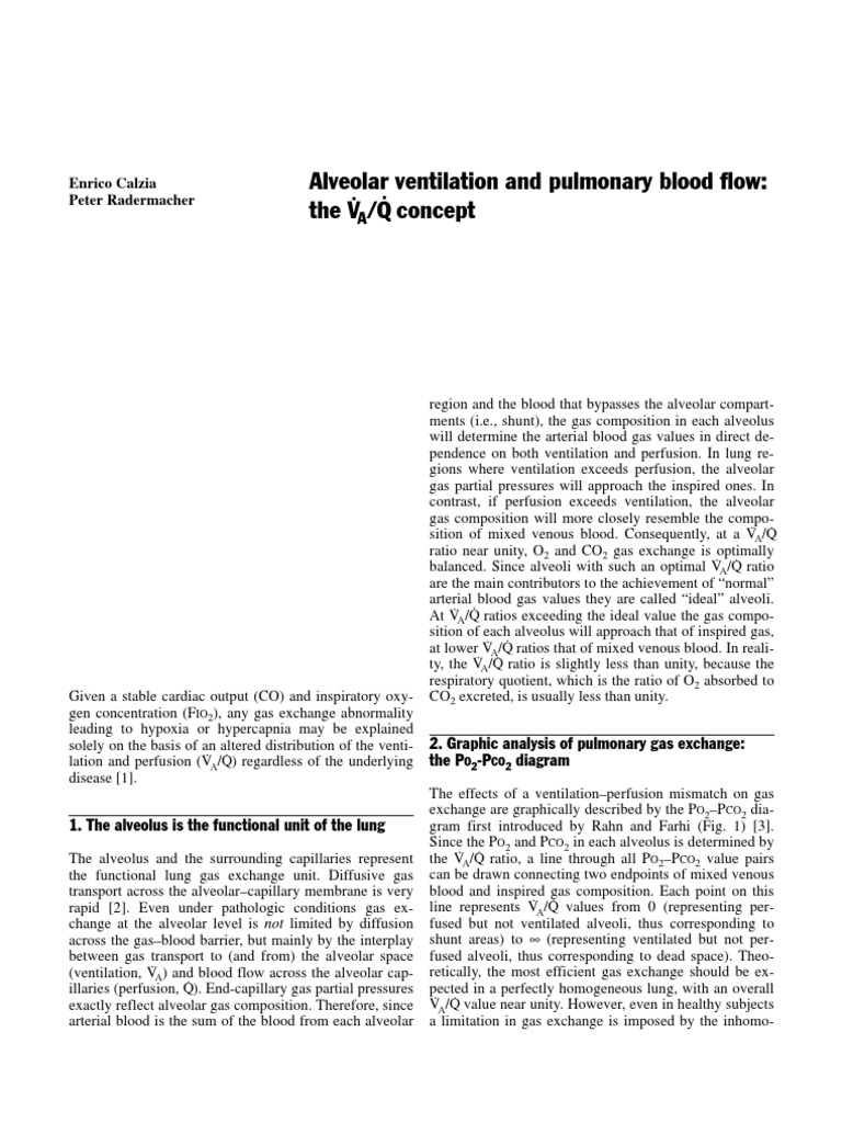 Vq Concept Pdf Hypoxia Medical Vasodilation