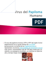 Virus Del Papiloma Humano (1)