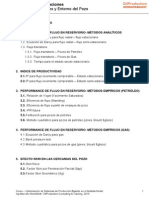 Nota Tecnica Well Performance 2010 PDF