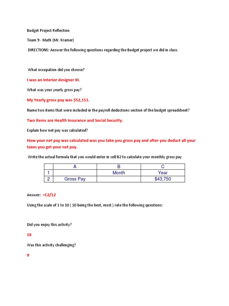 Budget Project Reflection Insights | PDF