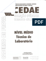 Prova CEDAE Téc. Lab 2002