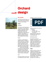 Orchard Orchard Orchard Orchard Orchard Design Design Design Design Design