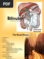 Download 14178100-Jaundice-BILIRUBINppt by Zulfikar Chaeruddin SN180700266 doc pdf