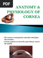 Cornea