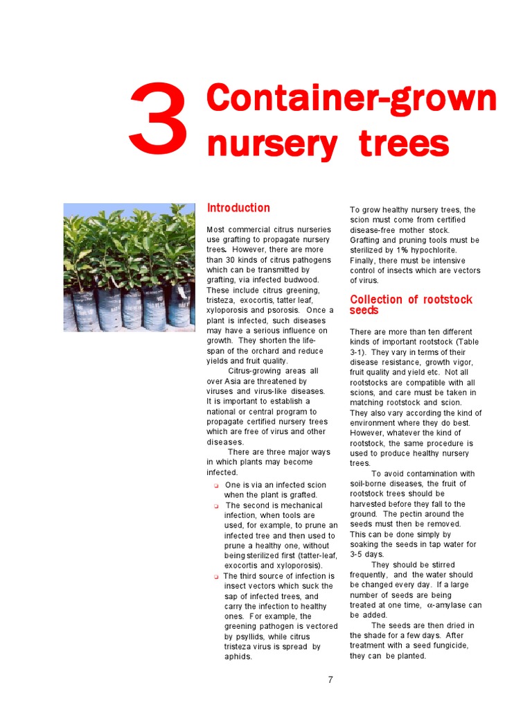 ContainerGrown ContainerGrown ContainerGrown ContainerGrown