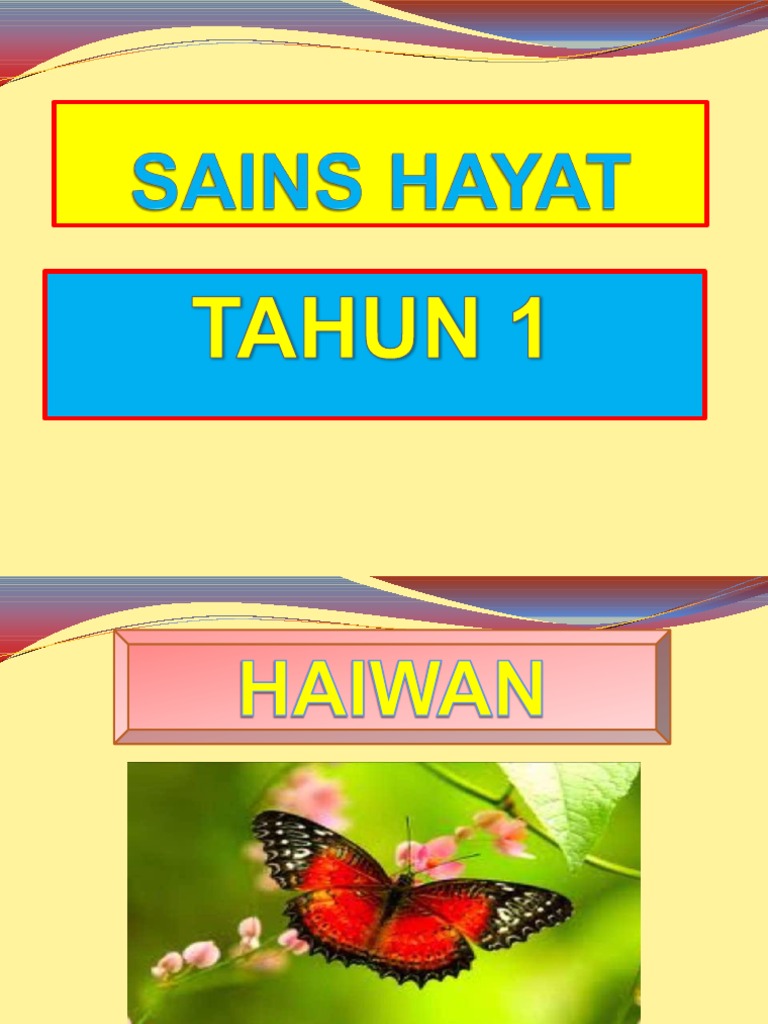 Sains Hayat Tahun 1 Pdf