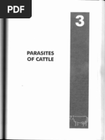 Bovine Meat Inspection-Parasites of Cattle PDF