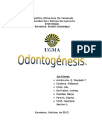 Trabajo de Embriologia Odontogenesis