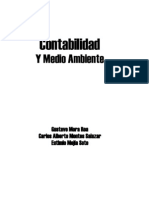 Libro Contabilidad y Medio Ambiente