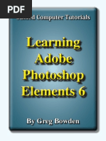 Learning Adobe Photoshop Elements 6