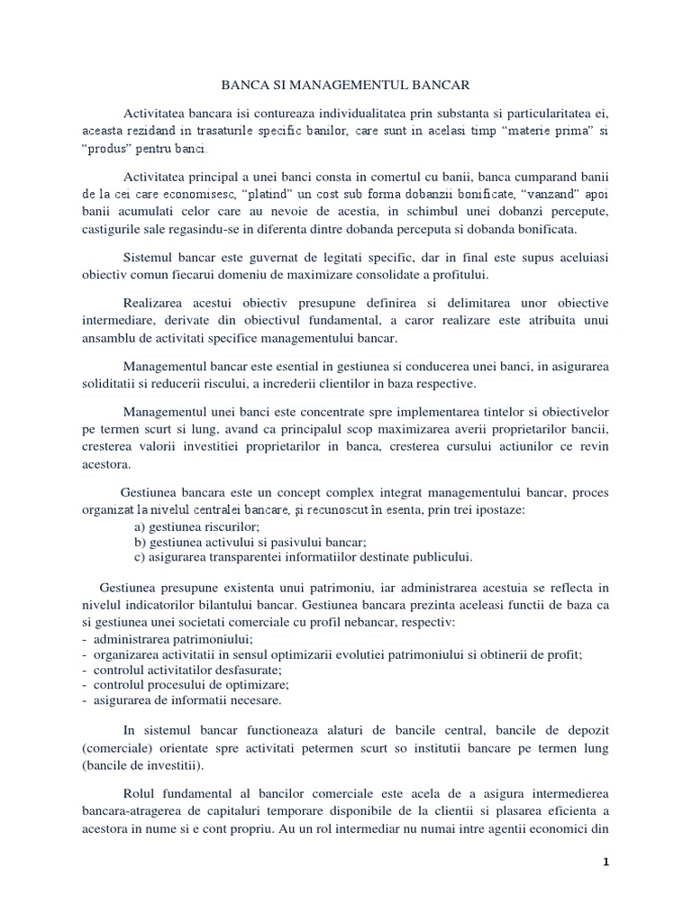 Bilantul Contabil Bancar | PDF