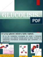 GLUCOLISIS