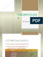 Expo Citomegalovirus