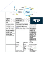 CICLO DE KREBS o RESPIRACIÓN AEROBIA