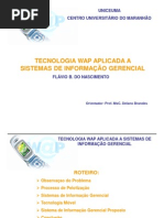 TECNOLOGIA WAP APLICADA  A SIG APRESENTAÇÃO