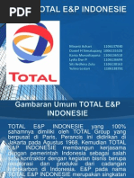 Download HSE PT Total EP Indonesie by Mira SN180897356 doc pdf