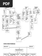 Leaflet Diabetes Melitus