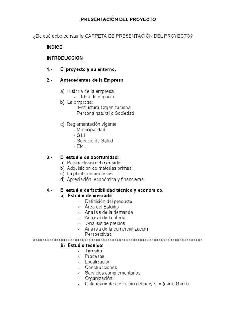 Pauta Presentación Del Proyecto Final | PDF | Economía (general) | Business