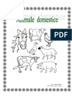 Animale Domestice