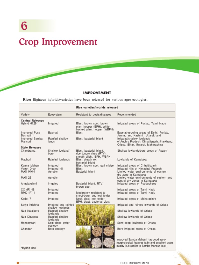 Crop Improvement Wheat Legume