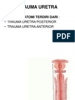 trauma uretra 1.pptx