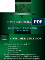Dimensions of Consumer Behavior