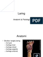 Anatomi Laring.ppt
