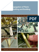 Propagation of Plants by Grafting and Budding PDF