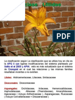 Angiospermas 4 PDF