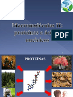 Proteínas_Ac nucleicos