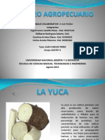 Mercadeo Agropecuario Yuca Final