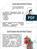 Sistema Respiratório