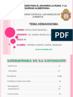 Patología General I - Entrega de Producto Ii - Hemangioma