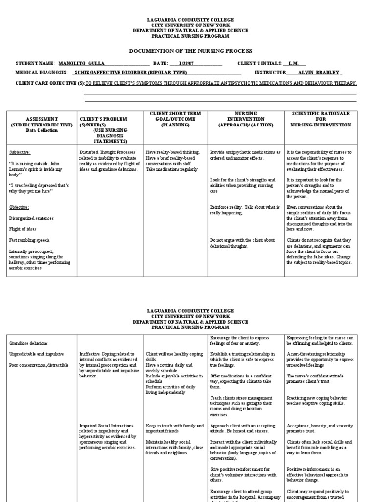 Care Plan For Schizoaffective Disorder Pdf Delusion Mental Disorder