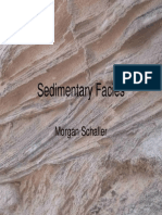Sedimentary Facies09.pdf