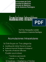 Acumulaciones Intracelulares