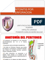 Peritonitis Por Perforacion Gastro More