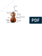 violin.docx